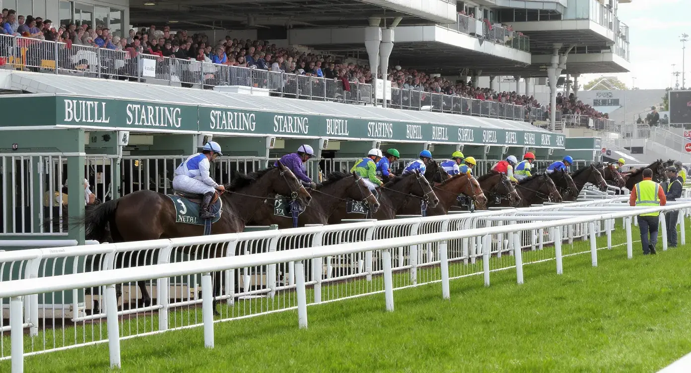 A field of two-year-old flat racehorses lining up in the stalls for a maiden race at a British racecourse